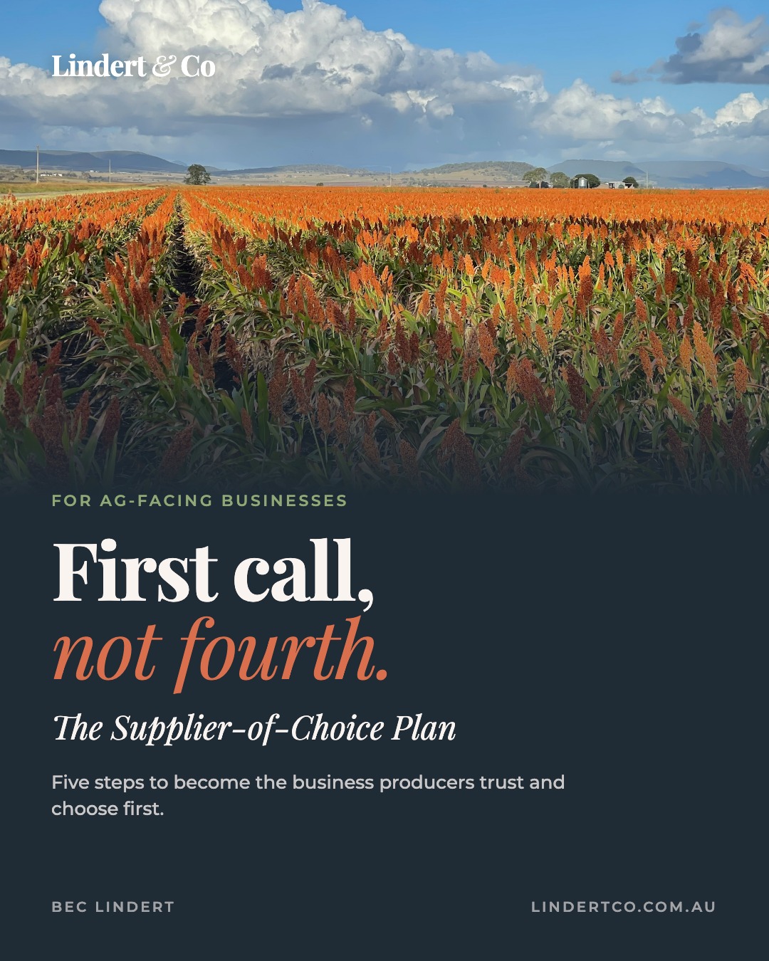 First Call, Not Fourth. The Supplier-of-Choice Plan. cover